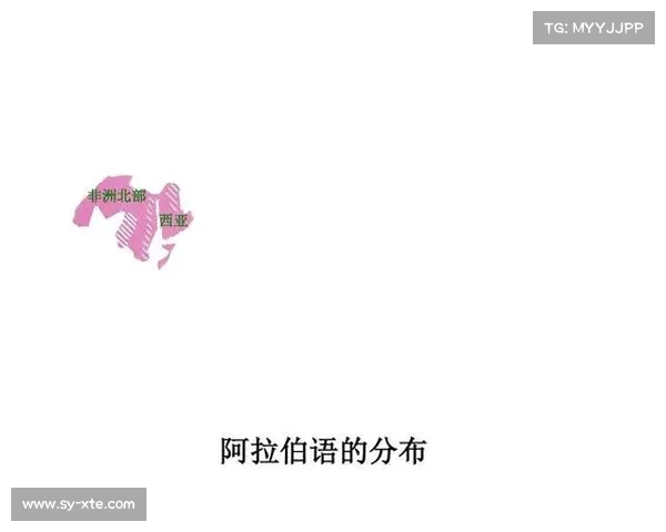 巴舒亚伊的母语及其语言背景探析